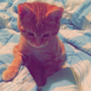 Meet your Posher, Kaila